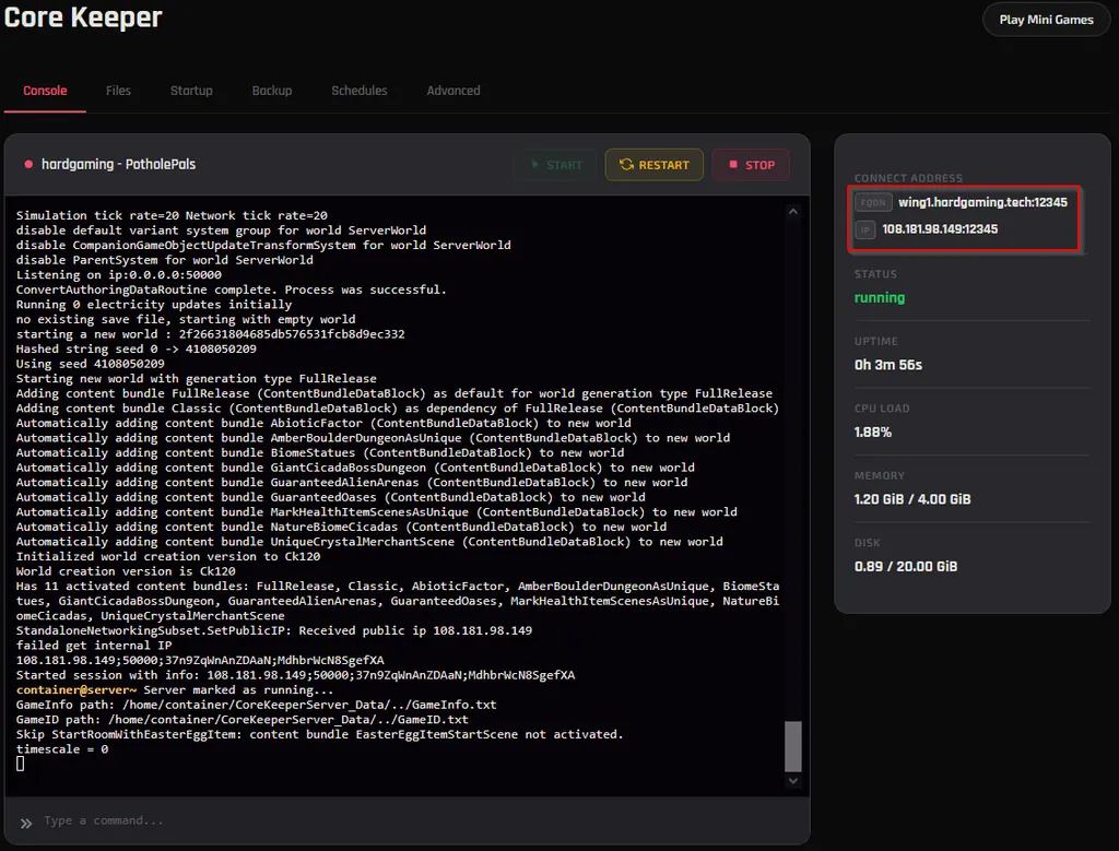 The server console showing status running, the connect address, and the world generation log