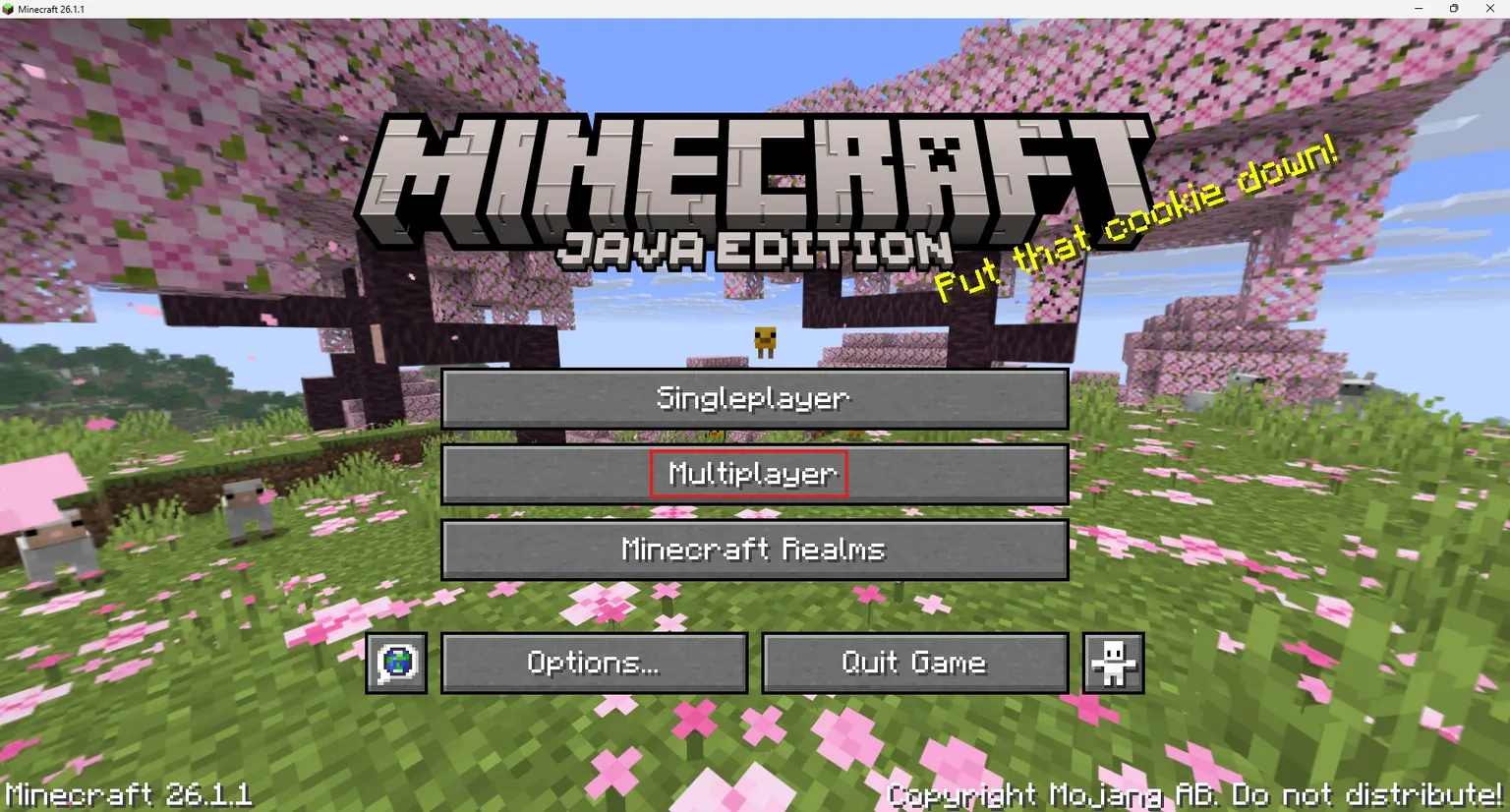 Minecraft main menu with red box around Multiplayer option