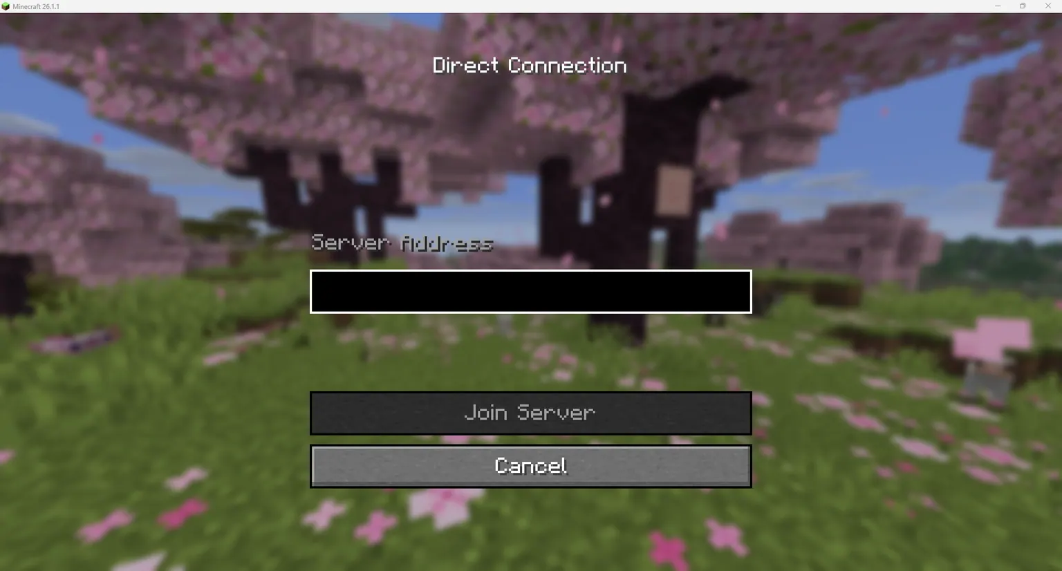 direct connection screen on minecraft with empty text box