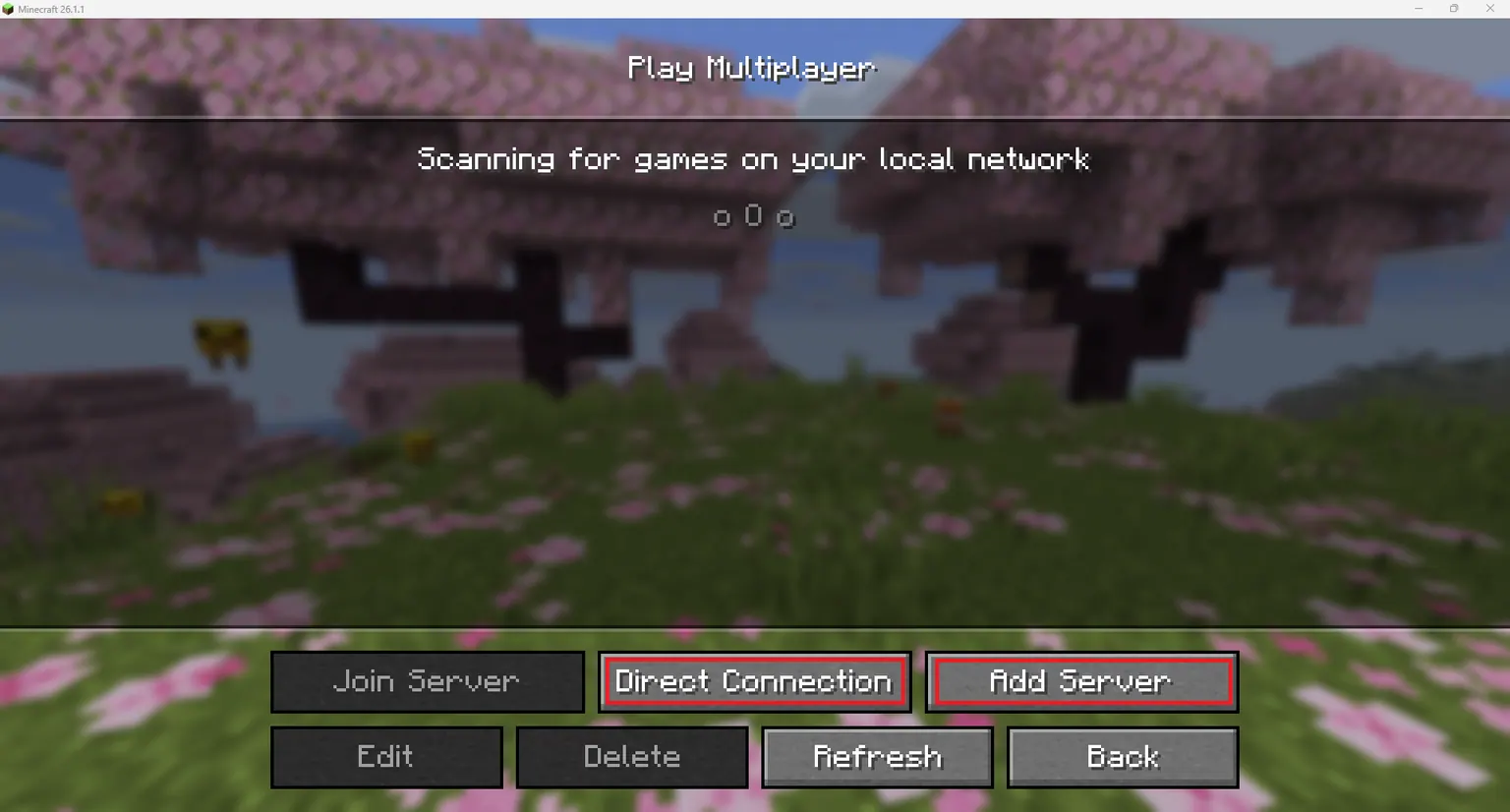 Multiplayer screen in minecraft